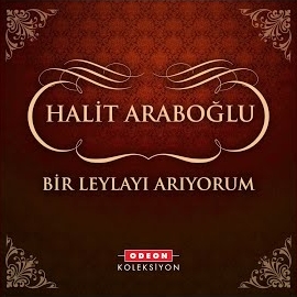 Bir Leylayı Arıyorum