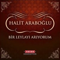 Bir Leylayı Arıyorum