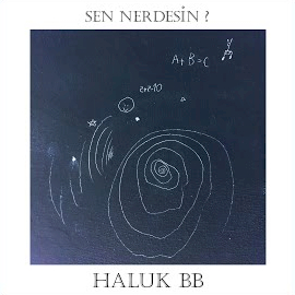 Sen Nerdesin
