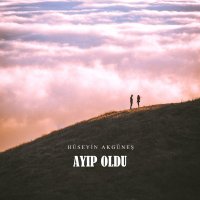 Ayıp Oldu