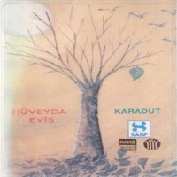 Karadut