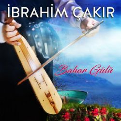 Bahar Gülü