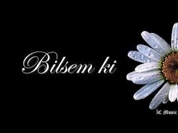 Bilsem ki
