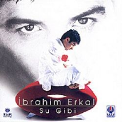 Su Gibi