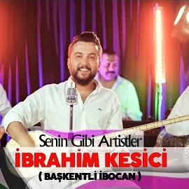 Senin Gibi Artistler