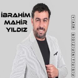 Yar Bozuntusu