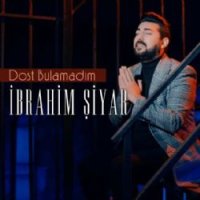 Dost Bulamadım