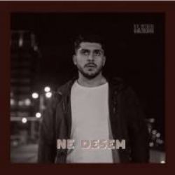 Ne Desem