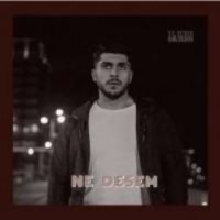 Ne Desem