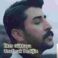 Unutmak Dediğin