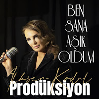Ben Sana Aşık Oldum