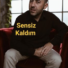 Sensiz Kaldım