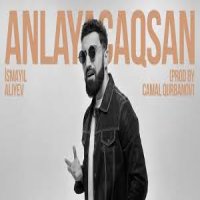 Anlayacaqsan