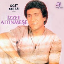 Dost Yarası