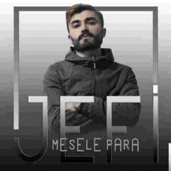 Mesele Para