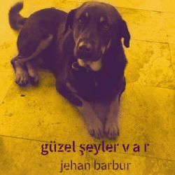 Güzel Şeyler Var
