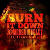 Burn It Down