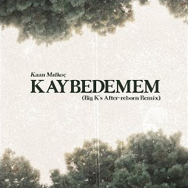 Kaybedemem