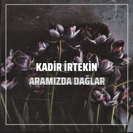 Aramızda Dağlar