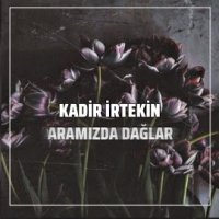 Aramızda Dağlar