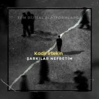 Şarkılar Nefretim