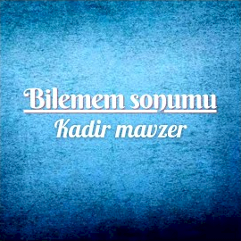 Bilemem Sonumu