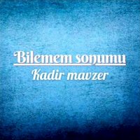 Bilemem Sonumu