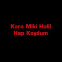 Hap Koydum