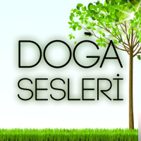 Yağmur Sesi
