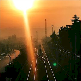 Haziranda Vurulmak