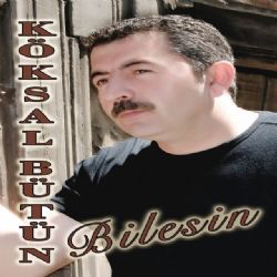 Bilesin