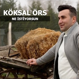 Ne İstiyorsun