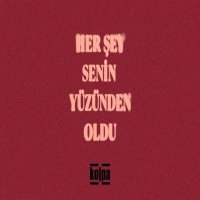 Her Sey Senin Yuzunden Oldu