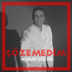 Çözemedim