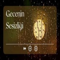 Gecenin Sessizliği