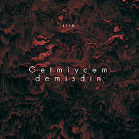 Getmiyecem Demişdin
