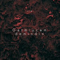 Getmiyecem Demişdin