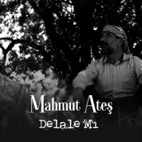 Delala Mı