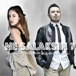 Ne Salaksın