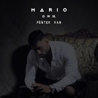 Pentek Van