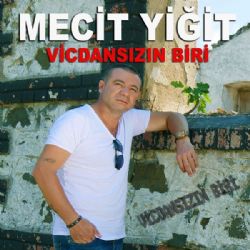 Vicdansızın Biri