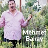 O Yar Gele