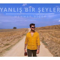 Yanlış Bir Şeyler