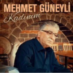 Siz Gidin