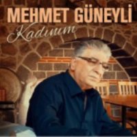 Siz Gidin