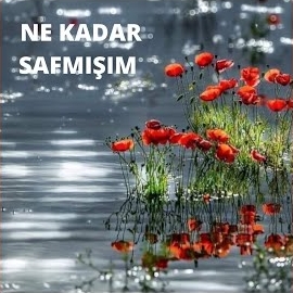 Ne Kadar Safmışım