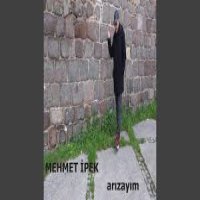 Arızayım