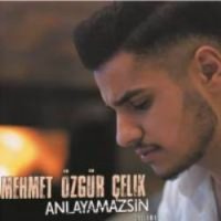 Anlayamazsın