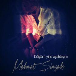 Düştüm Yine Ayaktayım