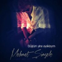 Düştüm Yine Ayaktayım